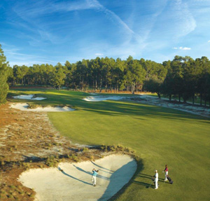 pinehurst rough open cybergolf produce typical scores enough 14th hole