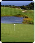 Sandy Lane � Just Monkeying Around