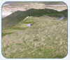 Golf in Ireland Part 3 - Waterville & Tralee