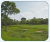Golfing with Wolves