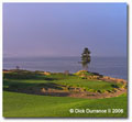 If Bandon Can Draw Golfers from Around the World, Why Not Tacoma?