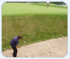 The Grand Old Man, The Grand Old Club, The Grand Old Amateur