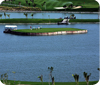 Amata Spring in Thailand Set to Host the Royal Trophy 2009