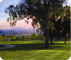 Two Great - and Very Different - Courses in the Valley of the Sun