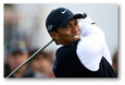 Australia Networks Snub Tiger & Australian Masters